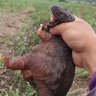 Фото профиля ชายเดียวรับงาน