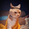 นะ profil fotoğrafı