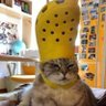 Profilbild von Mortifiiedd