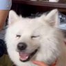 Profilbild von チヨチヨ