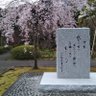自由気まま profil fotoğrafı