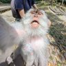 Yeti's profile picture