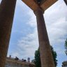 solo nizza🦇💚⚪️🇩🇰⚪️❤🦇 profil fotoğrafı