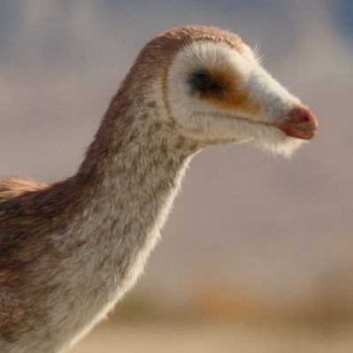Juanyudocus's profile picture