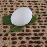 פסח, מצה ומרור profil fotoğrafı