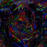 Profilbild von `0x