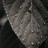 Фото профиля TheGreatWTS