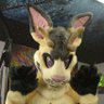Ashton the Jackalope profil fotoğrafı