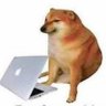 ŵãð§ğķľ's profile picture
