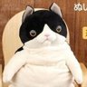 Darryl Takahashi ๐๐ฟ๐ธ๐๐ฆข's profile picture
