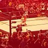 The Wrestling Guy 的头像