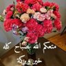 ابو احمد الحربي 的头像