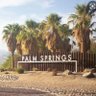 frankpalmsprings 的头像