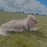 zeus profil fotoğrafı