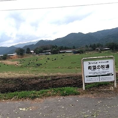 cowgodzilla68's profile picture