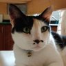 Jill Egglestone profil fotoğrafı