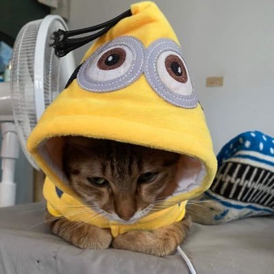 lin_yi0304's profile picture