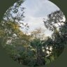 We profil fotoğrafı
