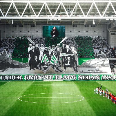 Hammarby Tifo's profile picture