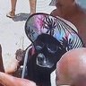 Auau Turista profil fotoğrafı