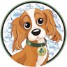 ☘️Clover’s Car & Dog Wash's profile picture
