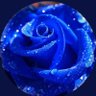 bnt njd's profile picture