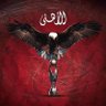 Profilbild von Samy Ali