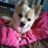 RIKU's profile picture