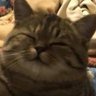 Zaen's profile picture