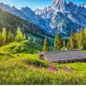 Shams profil fotoğrafı