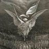An Angel of Vengeance's profile picture