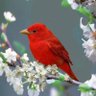 Profilbild von أبو عبدالعزيز