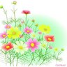 Фото профиля はっきょ