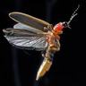 Фото профиля Donald Burgess