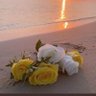 Фото профиля الجنه غايتي