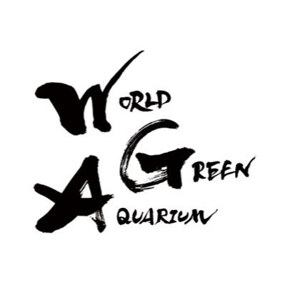 gyorui_net's profile picture