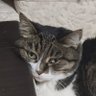 Мог быть Никитой 🕊 profil fotoğrafı