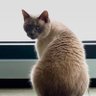 Gzaleks's profile picture