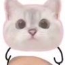 coding's profile picture