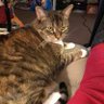 Profilbild von StellaFoxe394