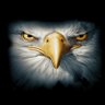 Terri's profile picture