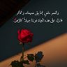 Profilbild von الحربيه