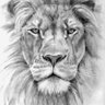csar16's profile picture