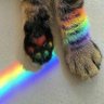 Exausta 🏳️🌈 的头像