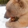 Dmytro's profile picture
