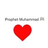 Profilbild von MUHAMMADU SARDAUNA IBRAHIM