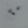 Gamma Mold's profile picture
