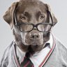 Profilbild von Jake Perry