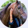 الجموح profil fotoğrafı