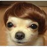 Regularcito's profile picture